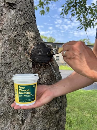 16oz Tree Wound Dressing Tub - Efficient Restore for Broken Timber - Grafting, Pruning, and Wound Care Sealer