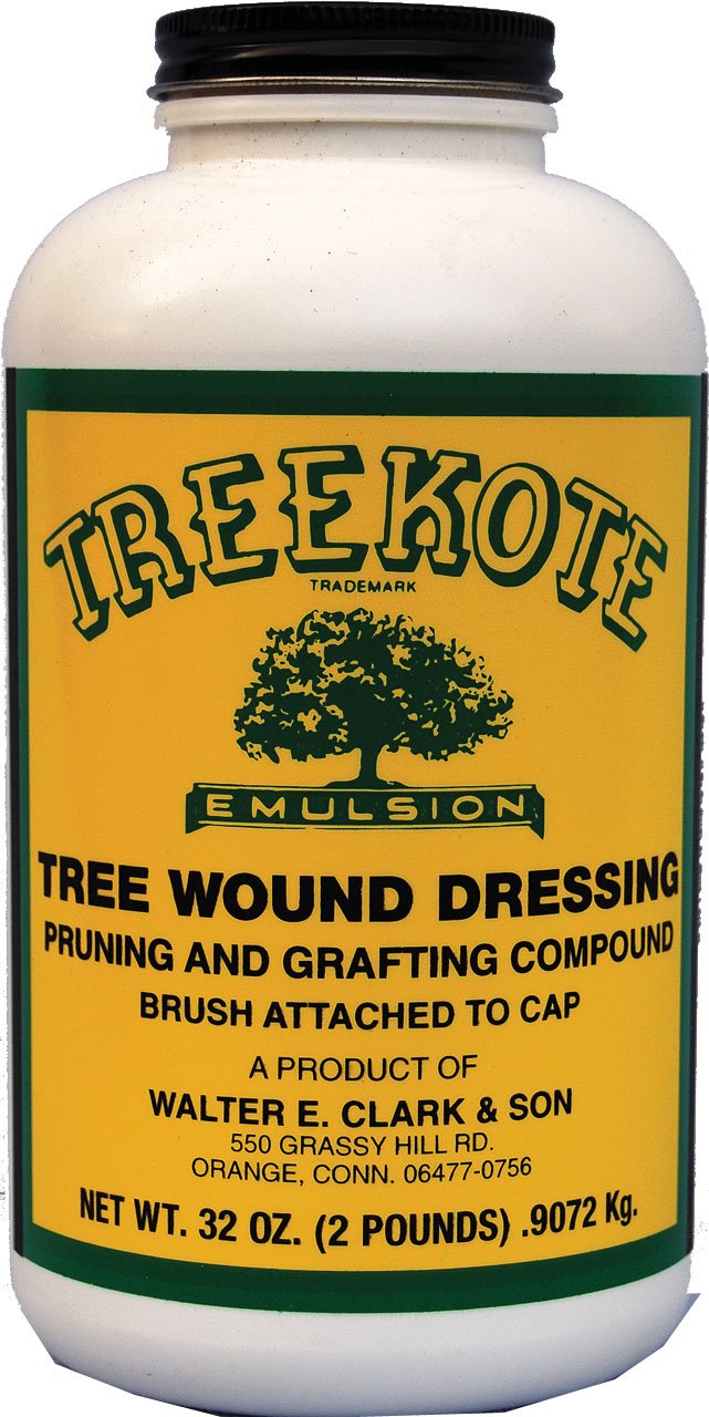 32 OZ Treekote Brushtop Wound Dressing for Bushes and Shrubs – Therapeutic Paste and Tree Wound Sealant – Pruning Sealant and Grafting Compound – Made within the USA