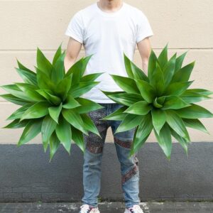 Massive UV-Resistant Synthetic Agave Crops – 2-Pack (28″) for Indoor and Out of doors Ornamental Use