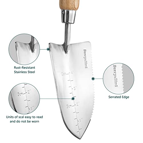 Multifunctional Backyard Serrated Trowel - Ash Wooden Deal with and Stainless Metal Digging Transplanter