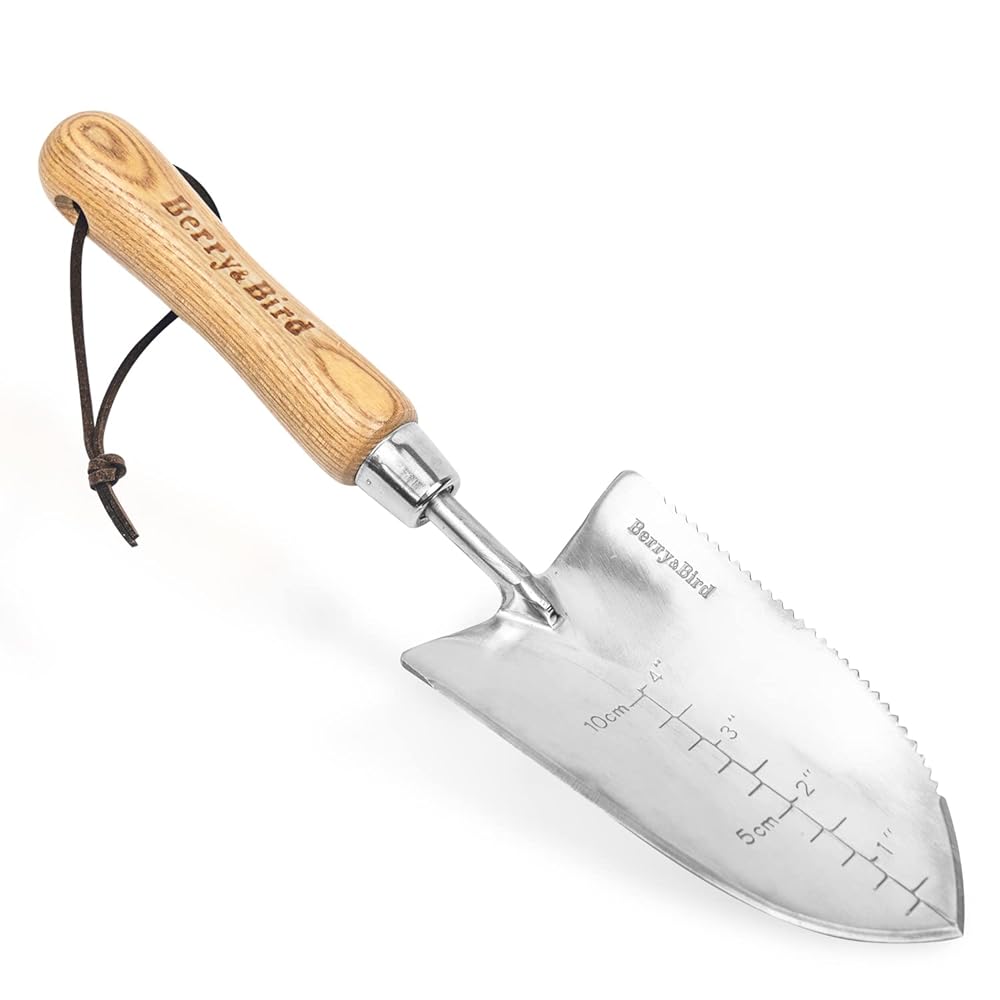 Multifunctional Backyard Serrated Trowel – Ash Wooden Deal with and Stainless Metal Digging Transplanter