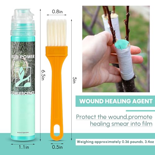 WILLBOND 2-Pack 100g Tree Wound Sealer with Brush - Pruning Sealer for Bonsai, Grafting Provides, and Wound Dressing for Fast Therapeutic